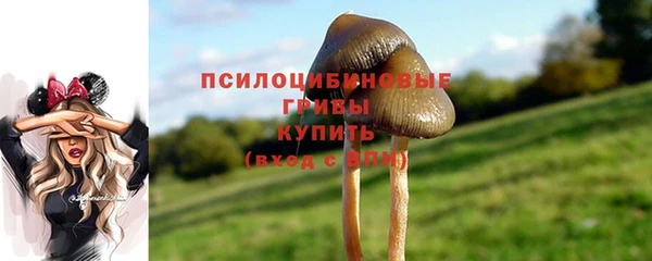 каннабис Баксан