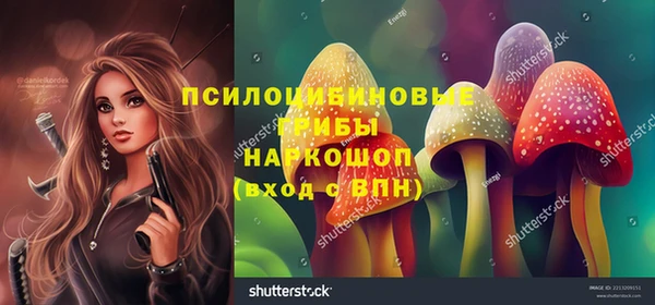 spice Балабаново