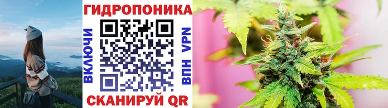наркотики  Оленегорск  Марихуана конопля 